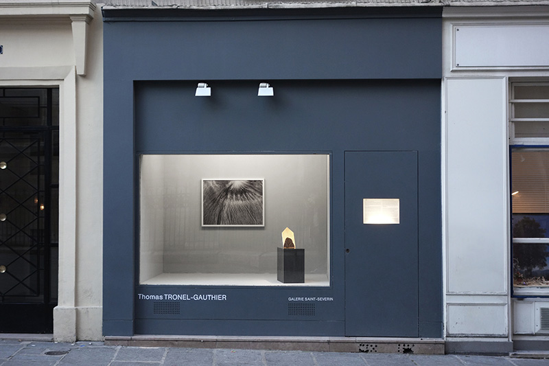 Thomas Tronel-Gauthier Galerie Saint Séverin 8